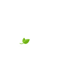 pepiniere cite des jeunes